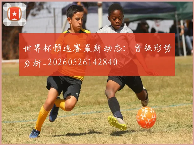 世界杯预选赛最新动态：晋级形势分析_20260526142840