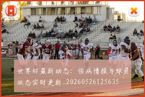 世界杯最新动态：伤病情报与球员状态实时更新_20260526125635